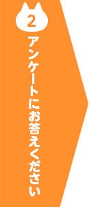 アンケートにお答えください
